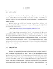 Vadovas ir lyderis: panašumai ir skirtumai 15 puslapis