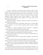 Vadovas ir lyderis: panašumai ir skirtumai 19 puslapis