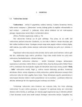 Vadovas ir lyderis: panašumai ir skirtumai 4 puslapis