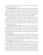 Vadovas ir lyderis: panašumai ir skirtumai 9 puslapis