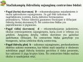 Pleištinių ir išdrožinių sujungimų tolerancijos ir suleidimai 13 puslapis