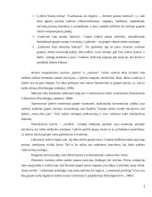 Vadovavimas 3 puslapis
