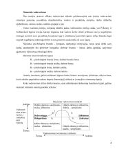 Vadovavimas 4 puslapis