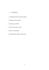 Vadovavimas bei lyderiavimas 2 puslapis