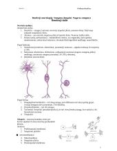 Bendroji neurologija. Smegenų dangalai. Nugaros smegenys