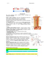 Bendroji neurologija. Smegenų dangalai. Nugaros smegenys 17 puslapis
