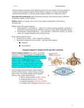 Bendroji neurologija. Smegenų dangalai. Nugaros smegenys 5 puslapis