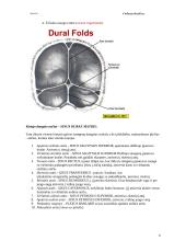 Bendroji neurologija. Smegenų dangalai. Nugaros smegenys 6 puslapis