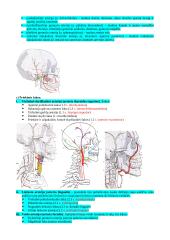 Širdies sandaros ypatumai 11 puslapis