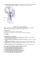 Širdies sandaros ypatumai 13 puslapis