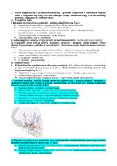 Širdies sandaros ypatumai 10 puslapis