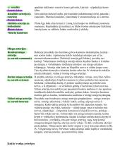 Širdies anatomija. Širdies ir krūtinės organų rentgenoanatominis vaizdas 12 puslapis