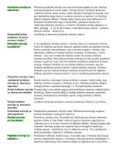 Širdies anatomija. Širdies ir krūtinės organų rentgenoanatominis vaizdas 13 puslapis