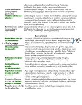 Širdies anatomija. Širdies ir krūtinės organų rentgenoanatominis vaizdas 14 puslapis