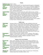 Širdies anatomija. Širdies ir krūtinės organų rentgenoanatominis vaizdas 15 puslapis