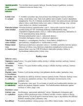 Širdies anatomija. Širdies ir krūtinės organų rentgenoanatominis vaizdas 16 puslapis