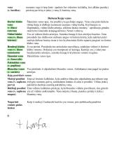 Širdies anatomija. Širdies ir krūtinės organų rentgenoanatominis vaizdas 17 puslapis