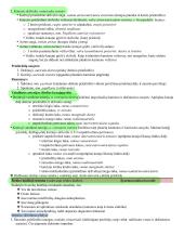 Širdies anatomija. Širdies ir krūtinės organų rentgenoanatominis vaizdas 3 puslapis