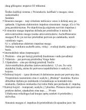 Širdies anatomija. Širdies ir krūtinės organų rentgenoanatominis vaizdas 6 puslapis