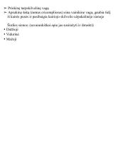 Širdies anatomija. Širdies ir krūtinės organų rentgenoanatominis vaizdas 8 puslapis