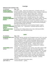 Širdies anatomija. Širdies ir krūtinės organų rentgenoanatominis vaizdas 9 puslapis