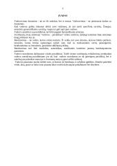 Vadovavimas, vadovas ir vadybininkas 3 puslapis
