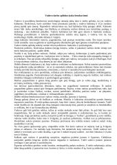 Vadovavimas, vadovas ir vadybininkas 7 puslapis