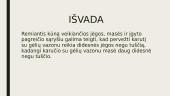 Skyriaus „Kūnų sąveikos dėsniai“ apibendrinimas 15 puslapis