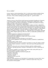 Vadovavimas ir lyderystė 2 puslapis