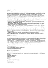 Vadovavimas ir lyderystė 3 puslapis