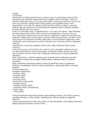 Vadovavimas ir lyderystė 4 puslapis