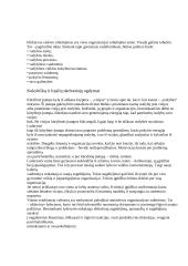 Vadovavimas ir lyderystė 5 puslapis