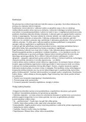 Vadovavimas ir lyderystė 7 puslapis