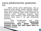 Vandens transportas - skaidrės 11 puslapis