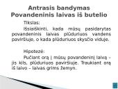 Vandens transportas - skaidrės 20 puslapis