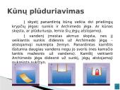 Vandens transportas - skaidrės 9 puslapis