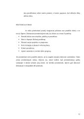 Vadovavimas posėdžiams 12 puslapis