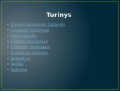 Žiemos Olimpinių žaidynių fizika