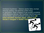 Žiemos Olimpinių žaidynių fizika 4 puslapis