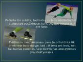 Žiemos Olimpinių žaidynių fizika 6 puslapis