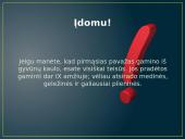 Žiemos Olimpinių žaidynių fizika 8 puslapis