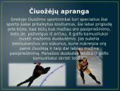 Žiemos Olimpinių žaidynių fizika 9 puslapis