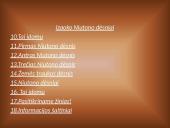 Niutonas – Didysis mokslininkas 2 puslapis