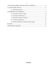 Vadovavimo NVO stiliai. Komandos kūrimas 2 puslapis