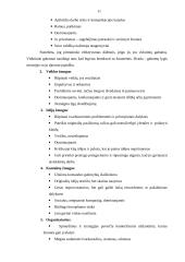 Vadovavimo NVO stiliai. Komandos kūrimas 11 puslapis