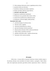 Vadovavimo NVO stiliai. Komandos kūrimas 13 puslapis