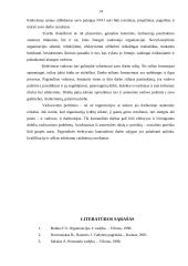 Vadovavimo NVO stiliai. Komandos kūrimas 14 puslapis