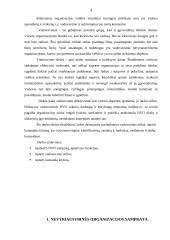 Vadovavimo NVO stiliai. Komandos kūrimas 3 puslapis