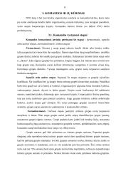 Vadovavimo NVO stiliai. Komandos kūrimas 8 puslapis