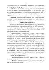 Vadovavimo NVO stiliai. Komandos kūrimas 9 puslapis